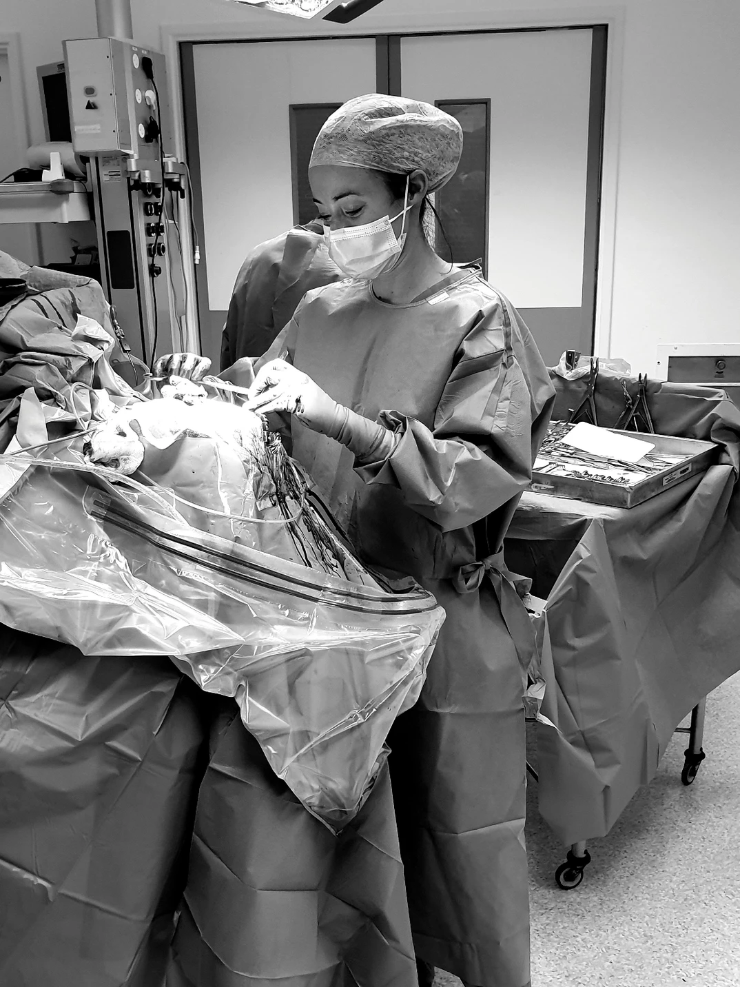 Neurovascular Training at Queens